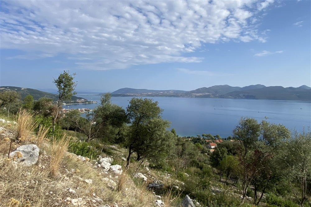 Nikiana 180 Panorama 01.jpg